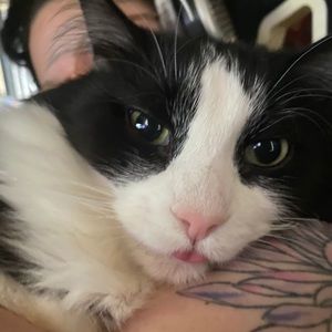 Meet your Posher, Heather